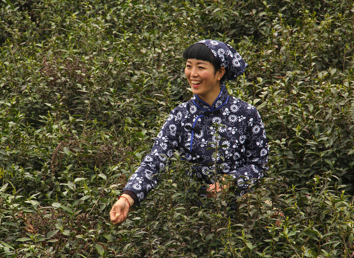 资讯5